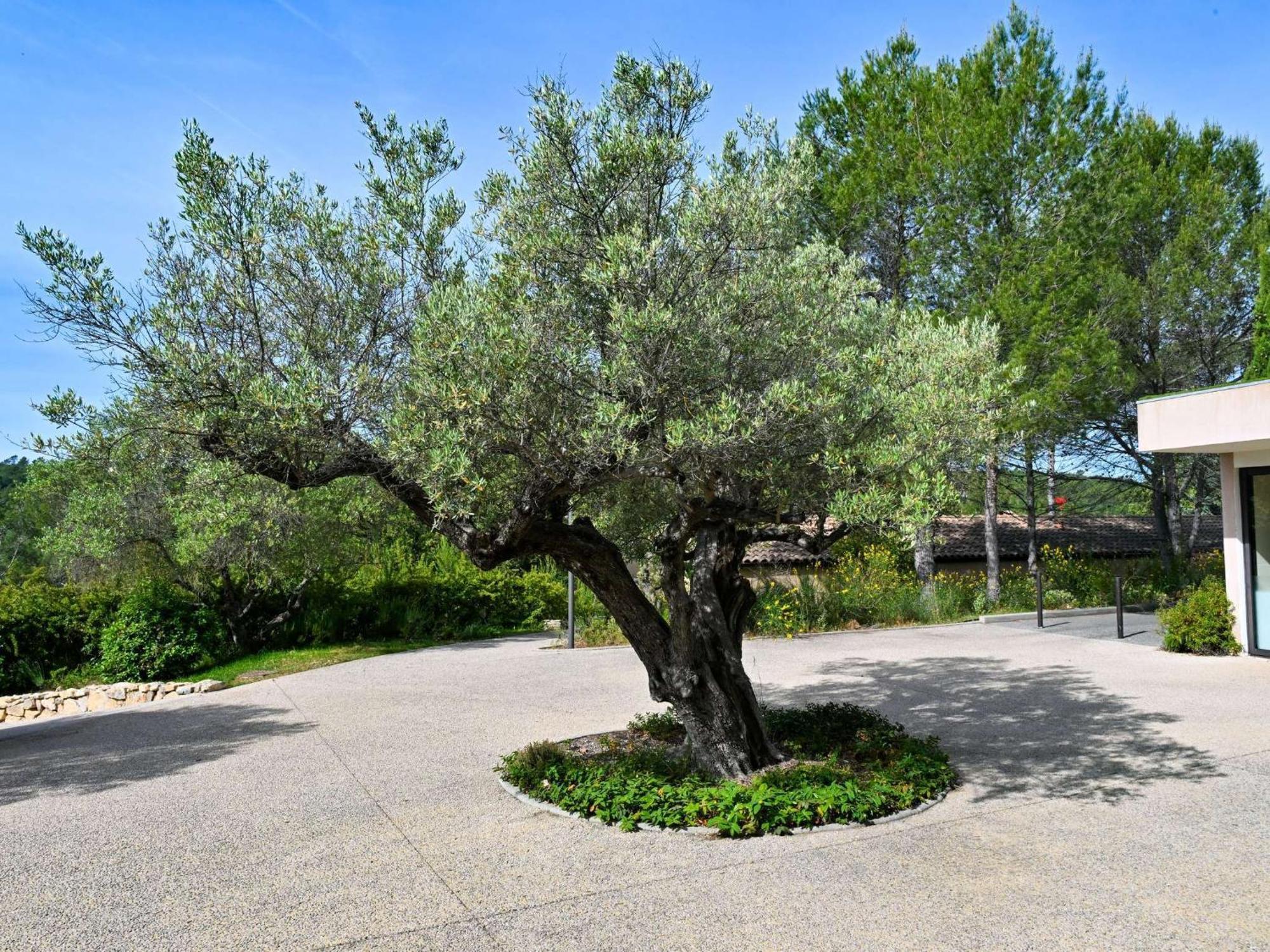 Mercure Brignoles Golf De Barbaroux & Spa Экстерьер фото